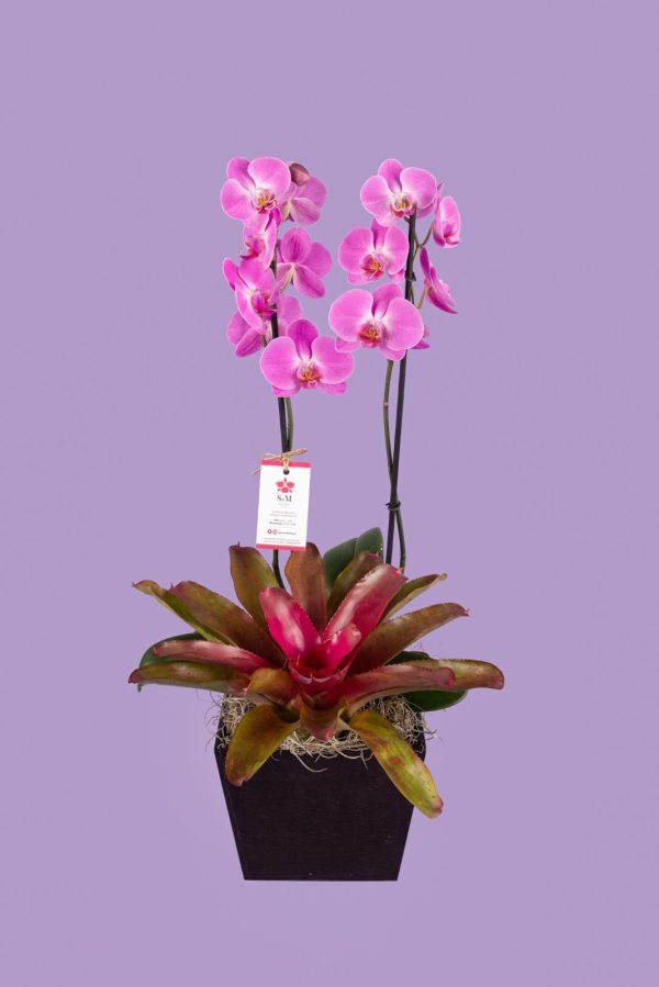 Orquideas SyM - arreglos florales para el Día de la Madre