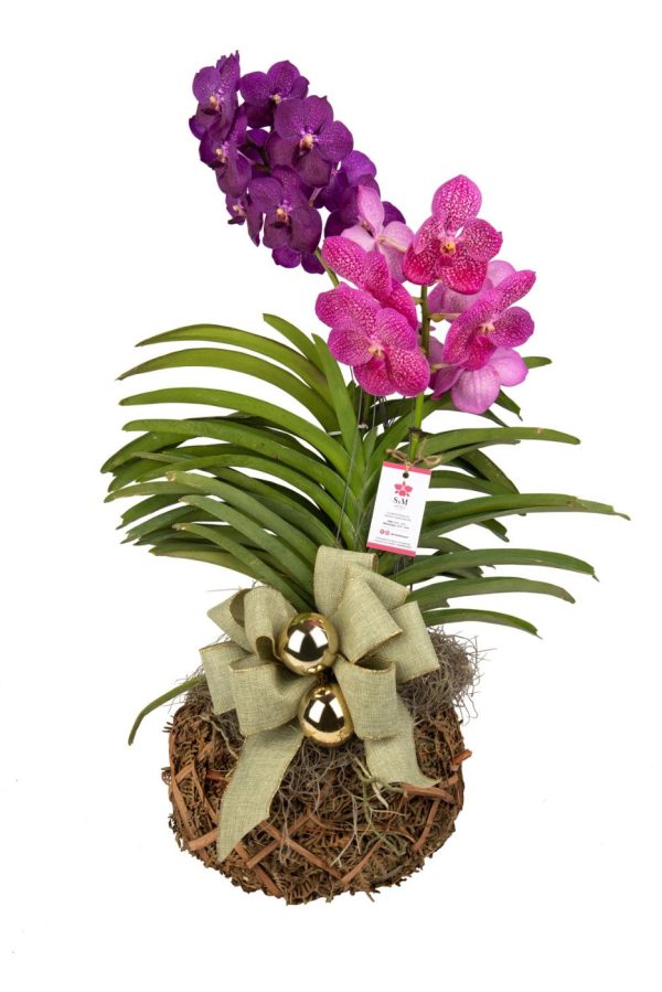 Orquideas SyM - arreglos florales para Navidad