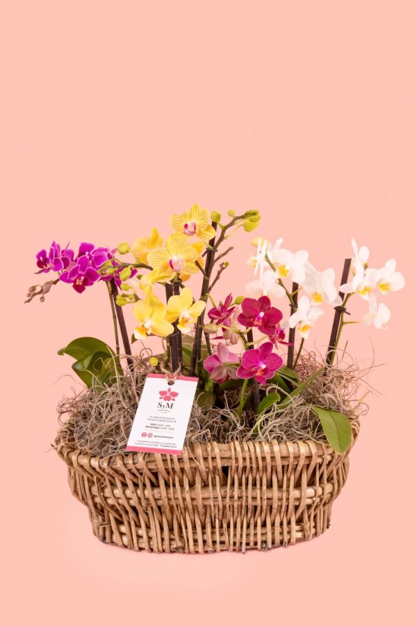 Orquideas SyM - arreglos florales para el Día del Cariño