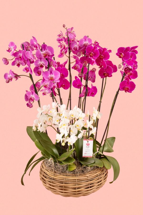 Orquideas SyM - arreglos florales para el Día del Cariño